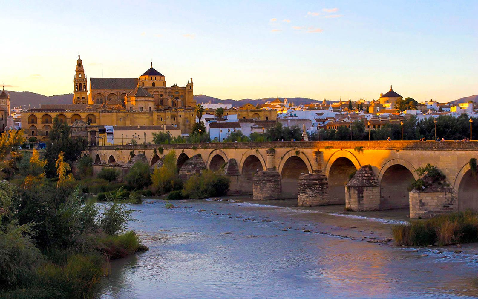 Cordoba Mosque Day Trip from Granada experience tickets in Granada | TickYourList