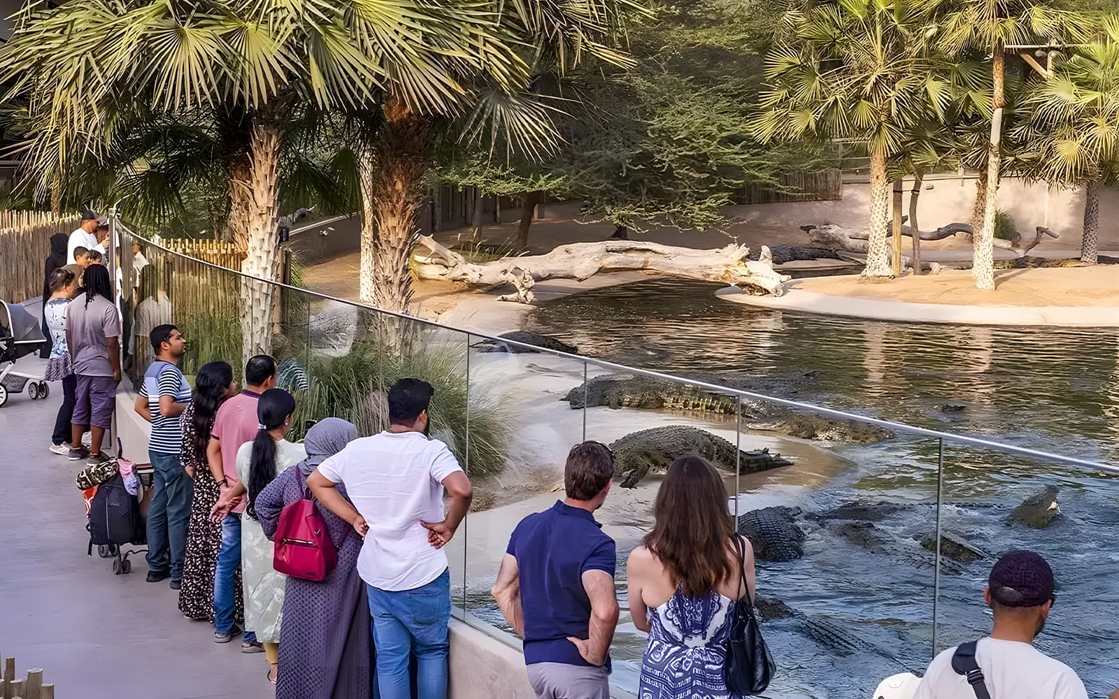 a6f9d5769e080daac19f561e93755353-23251---Dubai---Tickets-to-Dubai-Crocodile-Park---04.jpg
