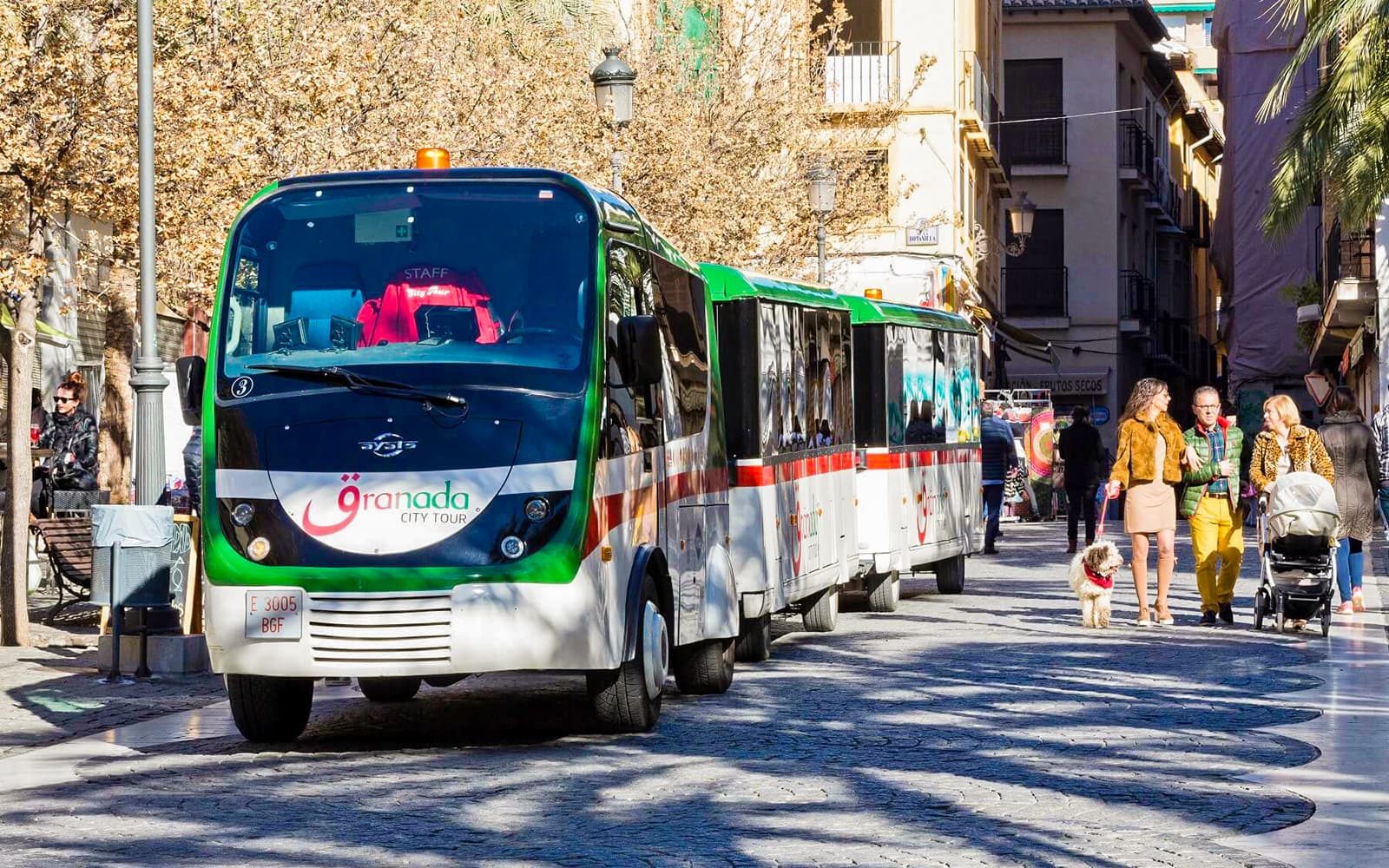 City Tour: Granada Hop-On Hop-Off Train Tour