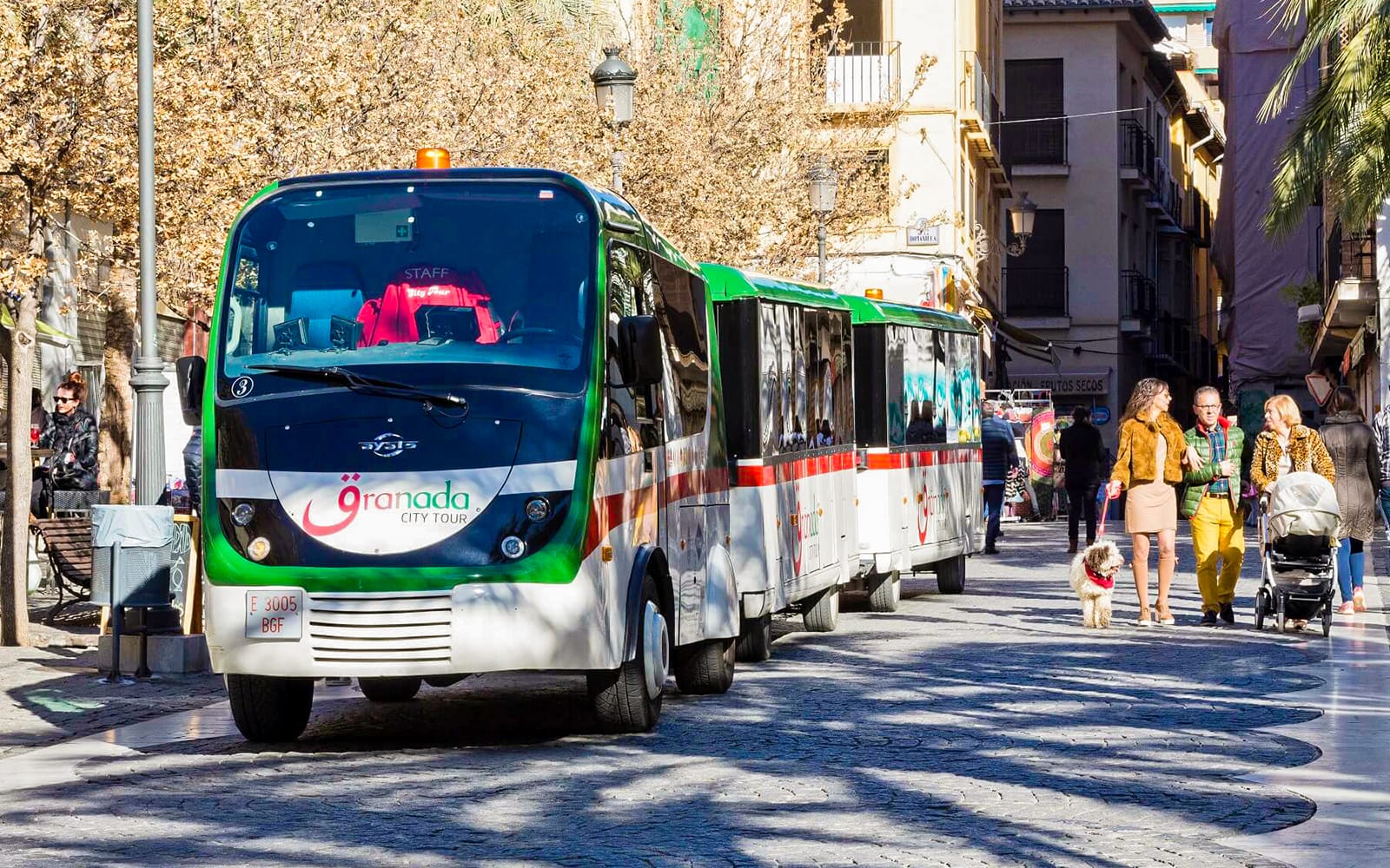 City Tour: Granada Hop-On Hop-Off Train Tour experience tickets in Granada | TickYourList