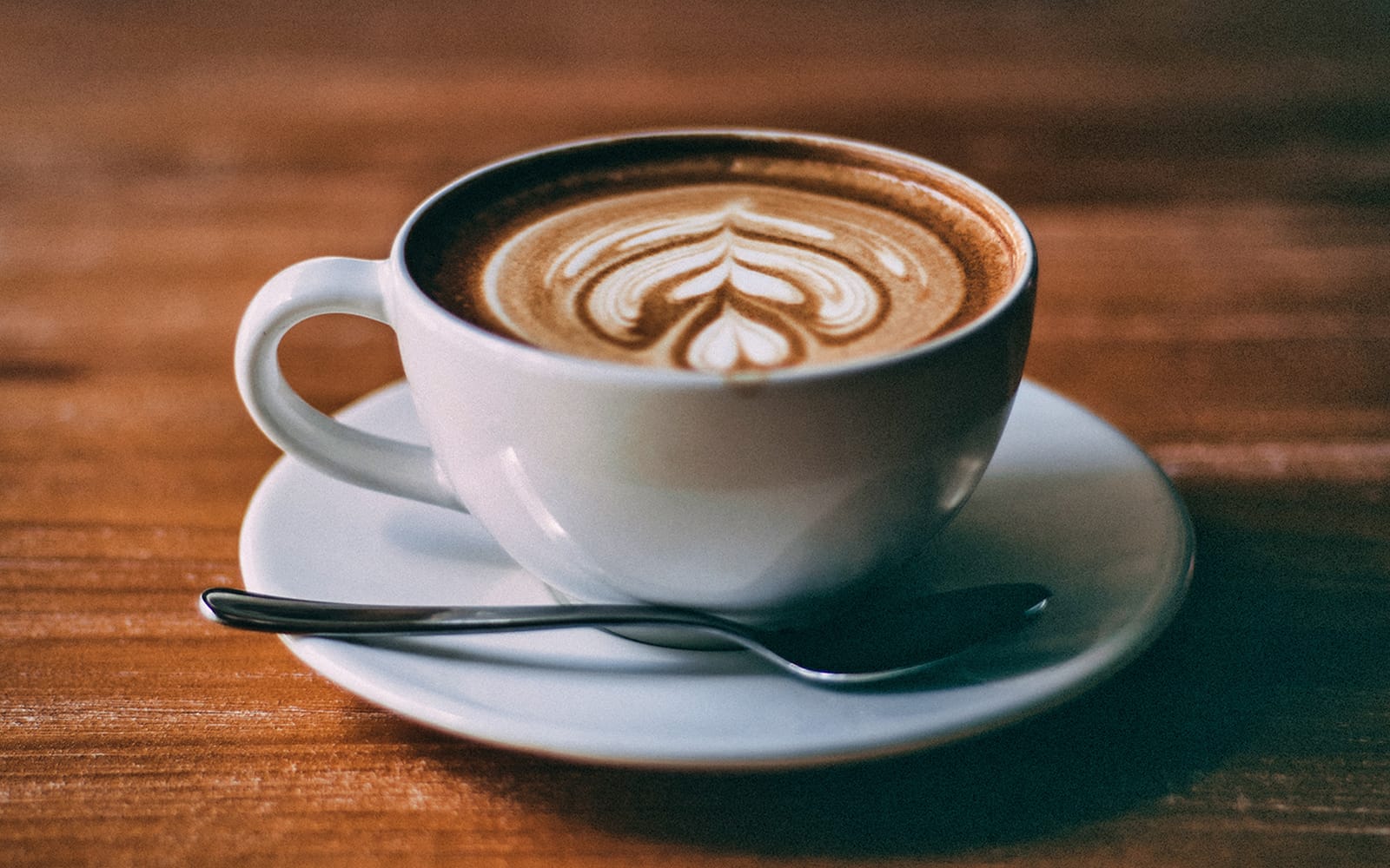 Premium Tour of Elbphilharmonie with French Rolls & Coffee tickets in Hamburg - Attractions | TickYourList