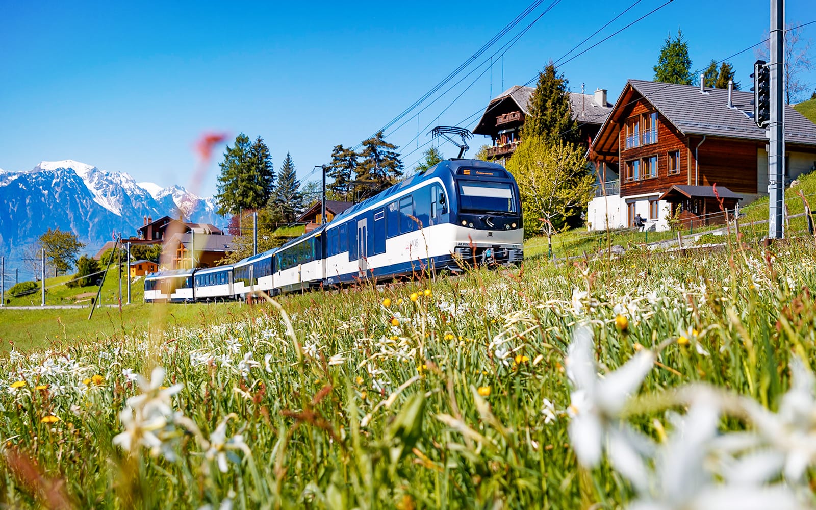 Swiss Half Fare Card: 50% Discount on Train, Bus & Boat Tickets for 1 Month in Zurich - Highlights | TickYourList