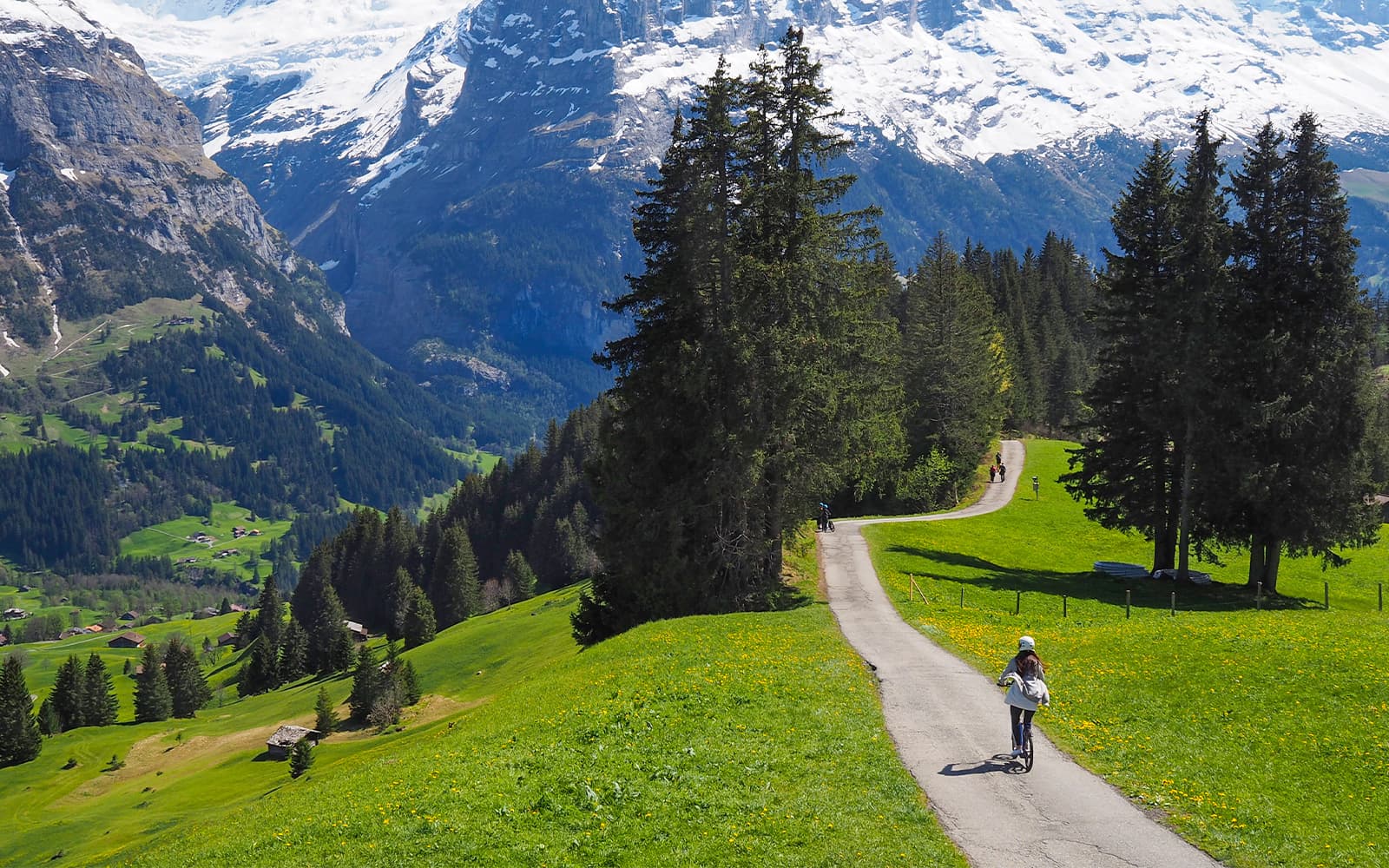 From Zürich: Grindelwald, Interlaken & Lauterbrunnen Day Trip tickets in Zurich - Activities | TickYourList