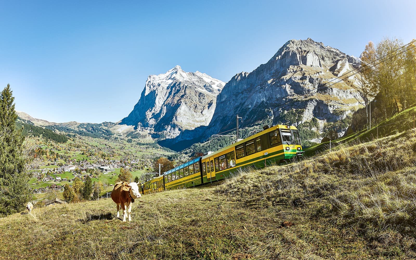 Jungfrau Unlimited Travel Pass: 3 to 8 Days tickets in Interlaken - Highlights | TickYourList