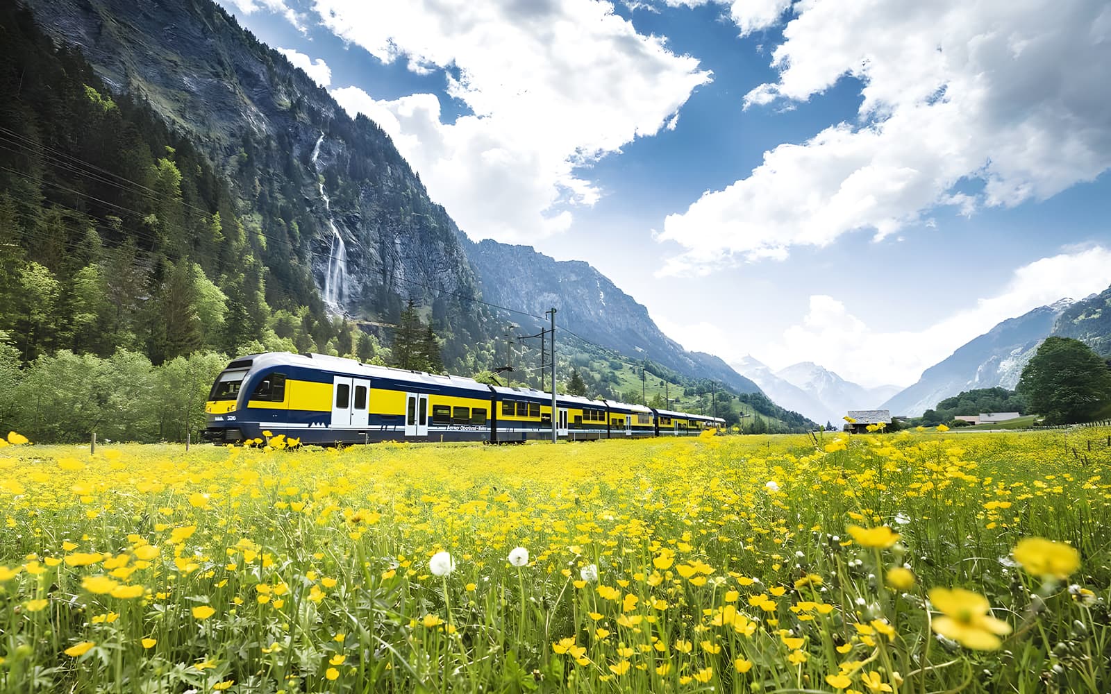 From Lucerne: Grindelwald First - Top Adventure tickets in Lucerne - Full Experience | TickYourList