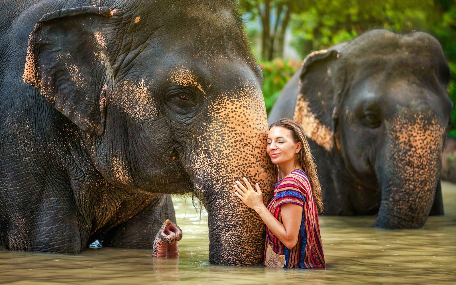 Elephant Jungle Sanctuary Experience in Phuket: Meet & Feed