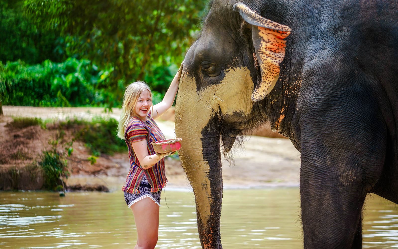 Elephant Jungle Sanctuary Experience in Phuket: Meet & Feed tickets in Phuket - Features | TickYourList