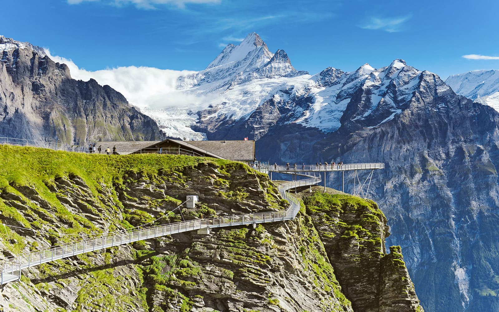 Grindelwald First Mountain Tickets in Interlaken - Highlights | TickYourList