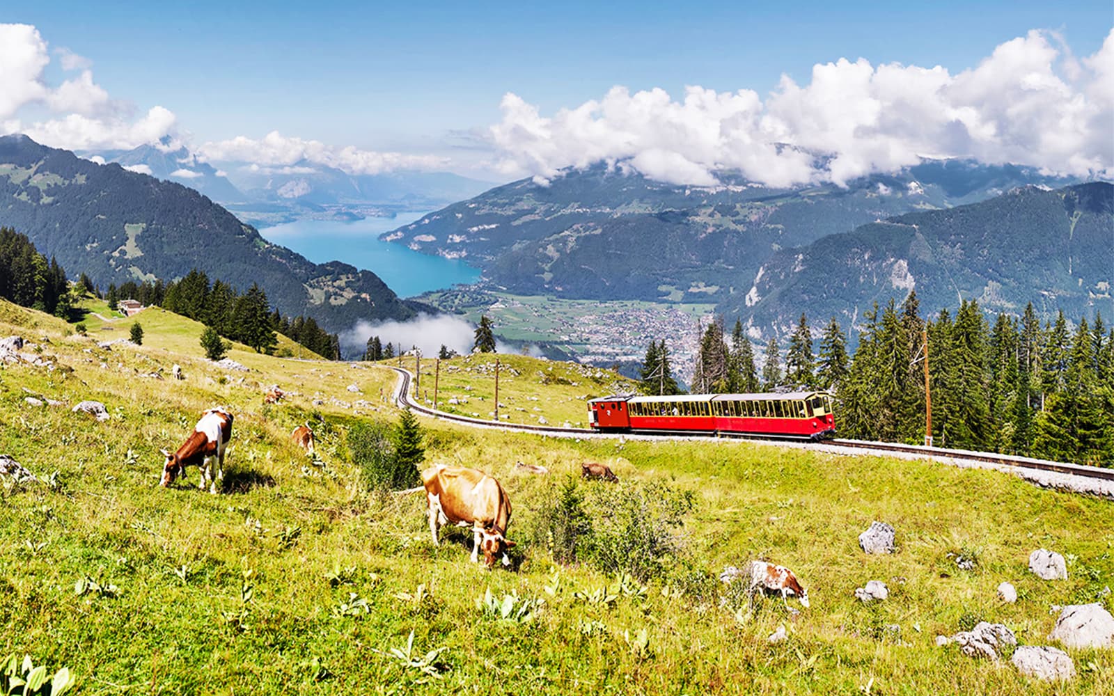 Round-Trip Train Tickets to Schynige Platte from Wilderswil Station in Interlaken - Activities | TickYourList