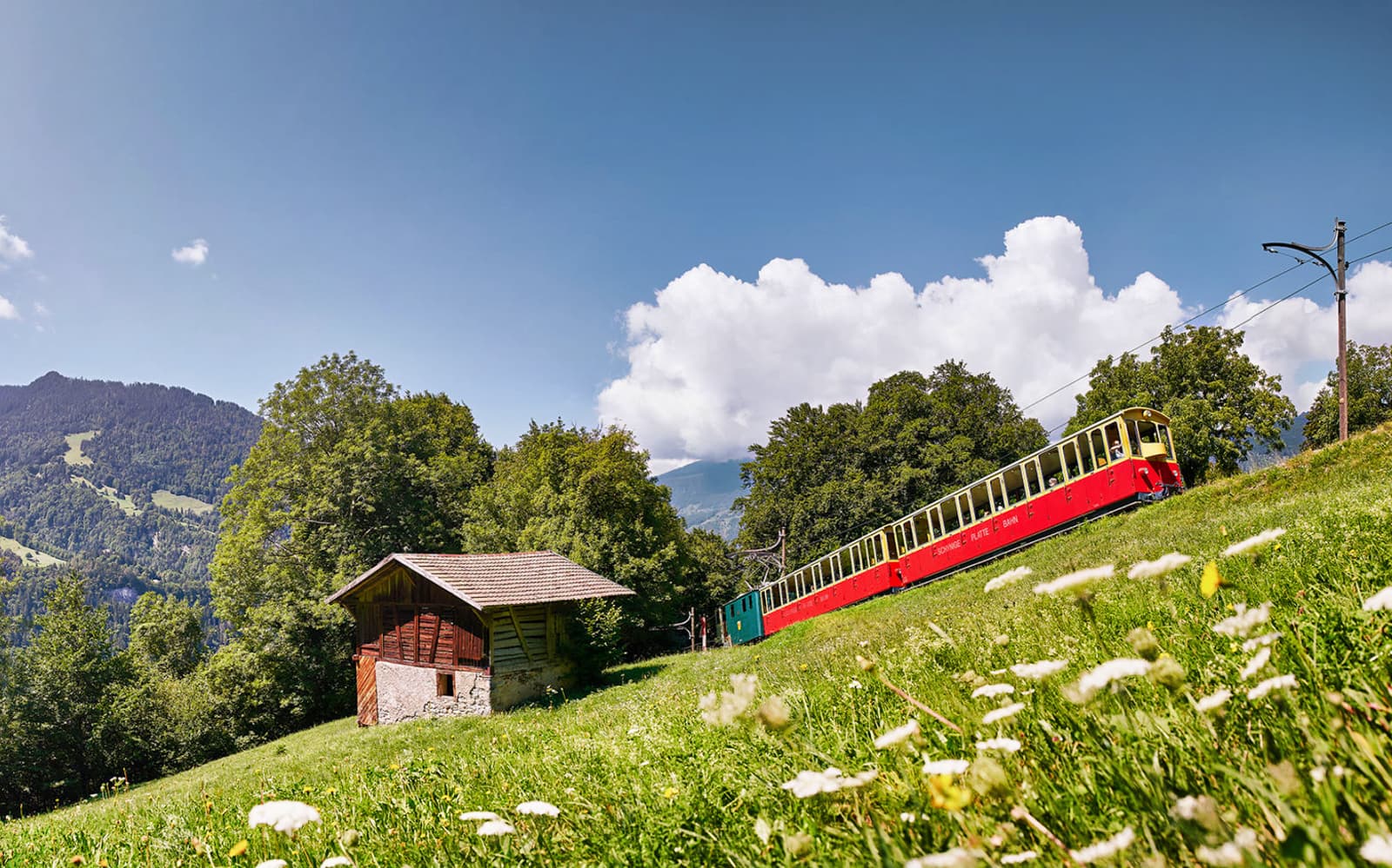 Round-Trip Train Tickets to Schynige Platte from Wilderswil Station in Interlaken - Highlights | TickYourList
