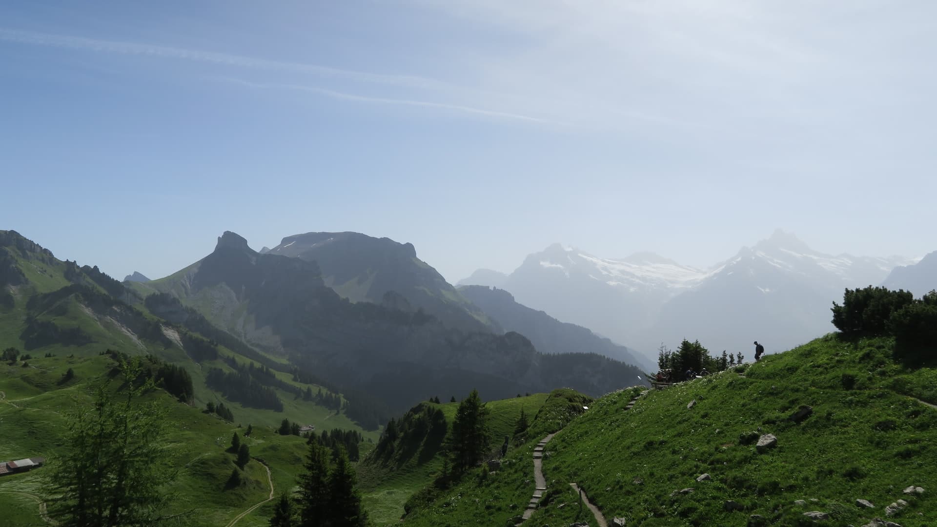 Round-Trip Train Tickets to Schynige Platte from Wilderswil Station in Interlaken - Full Experience | TickYourList