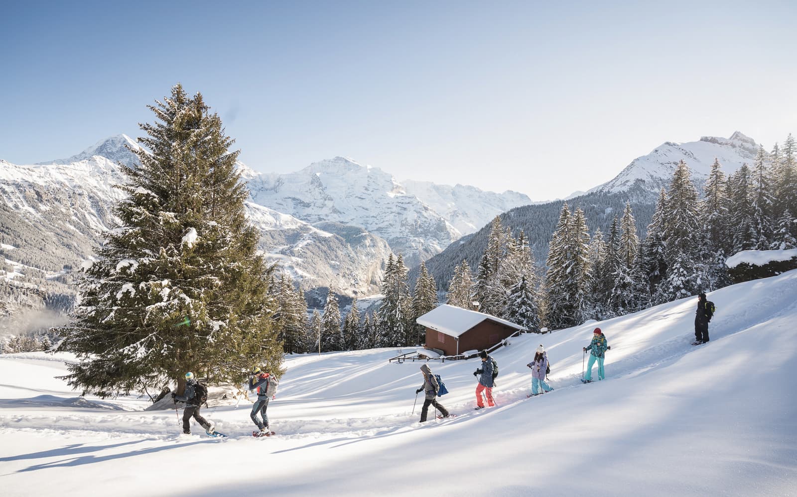 Winter Alpine Adventure with Snowshoe, Sledding and Cheese fondue lunch