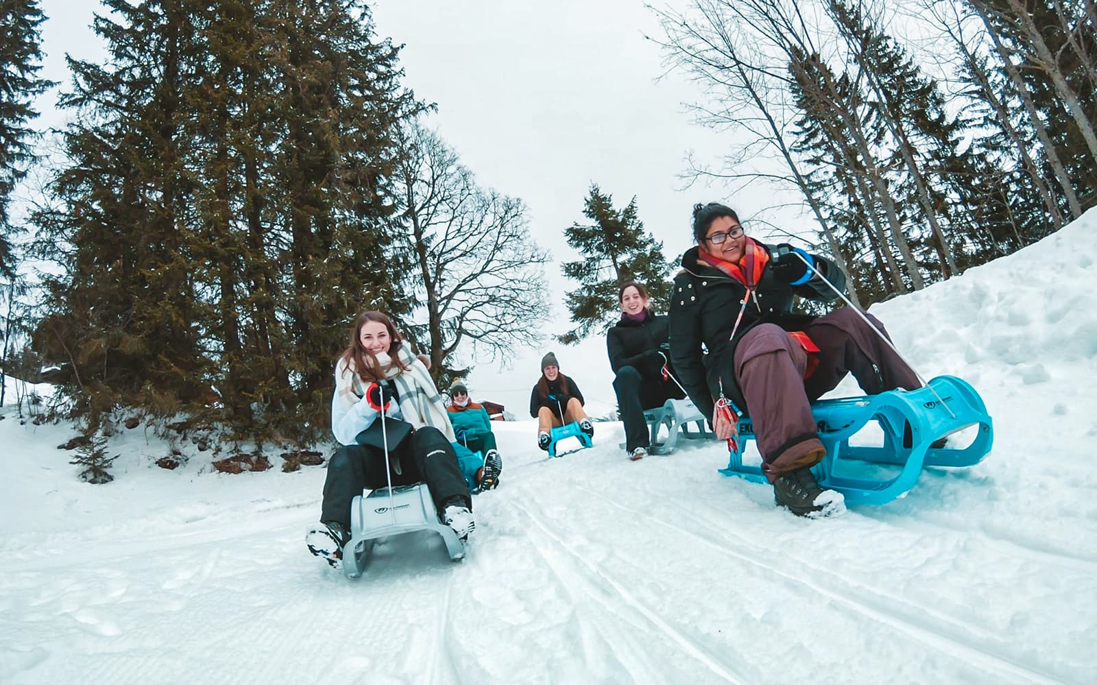 Guided Day Sledding in Sulwald from Interlaken tickets in Interlaken - Attractions | TickYourList