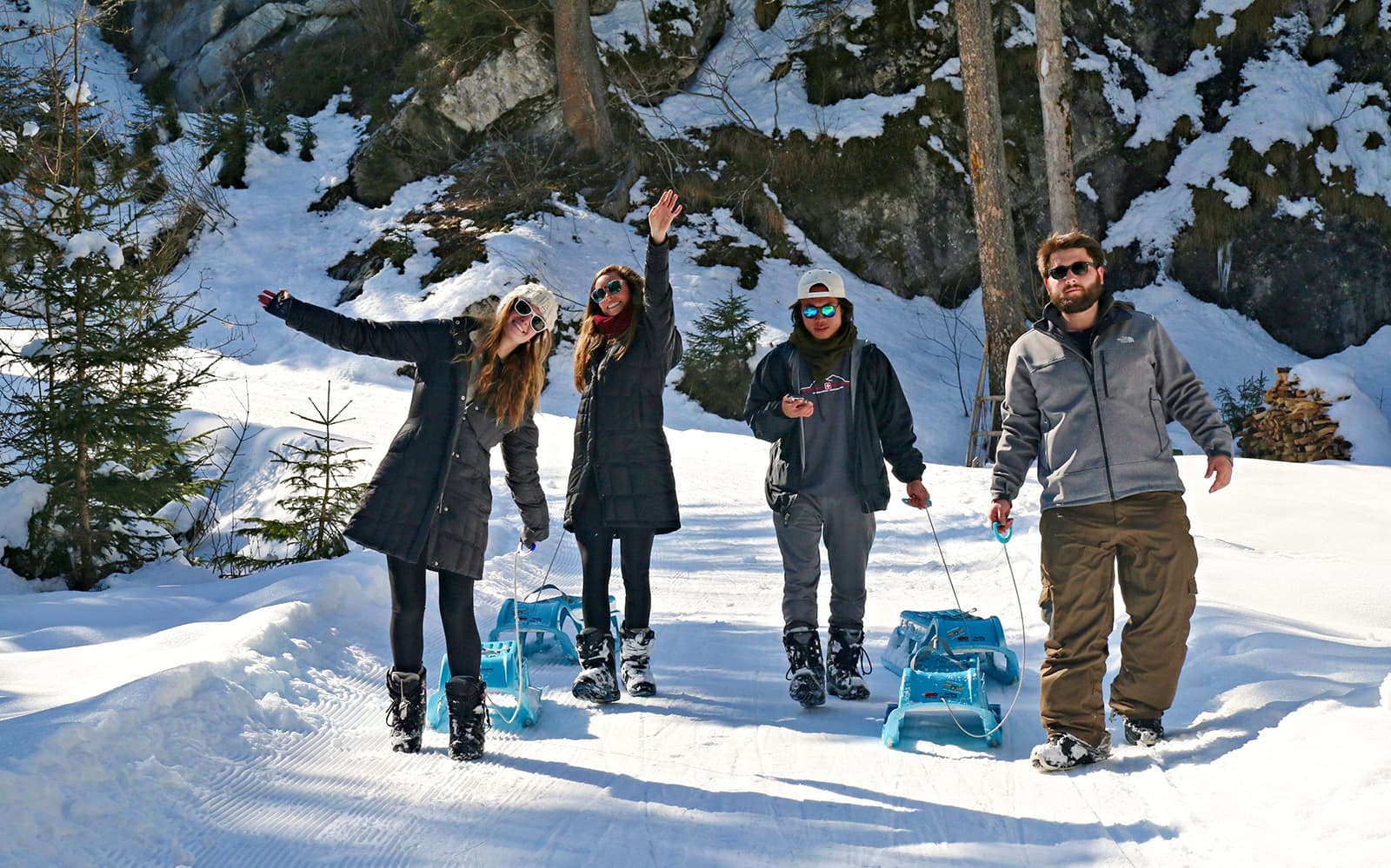 Guided Day Sledding in Sulwald from Interlaken tickets in Interlaken - Activities | TickYourList