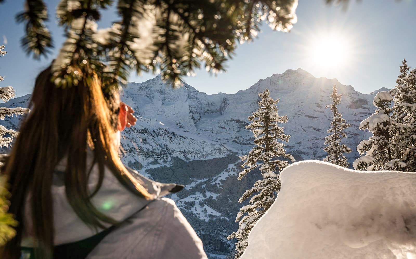 Guided Day Sledding in Sulwald from Interlaken tickets in Interlaken - Features | TickYourList