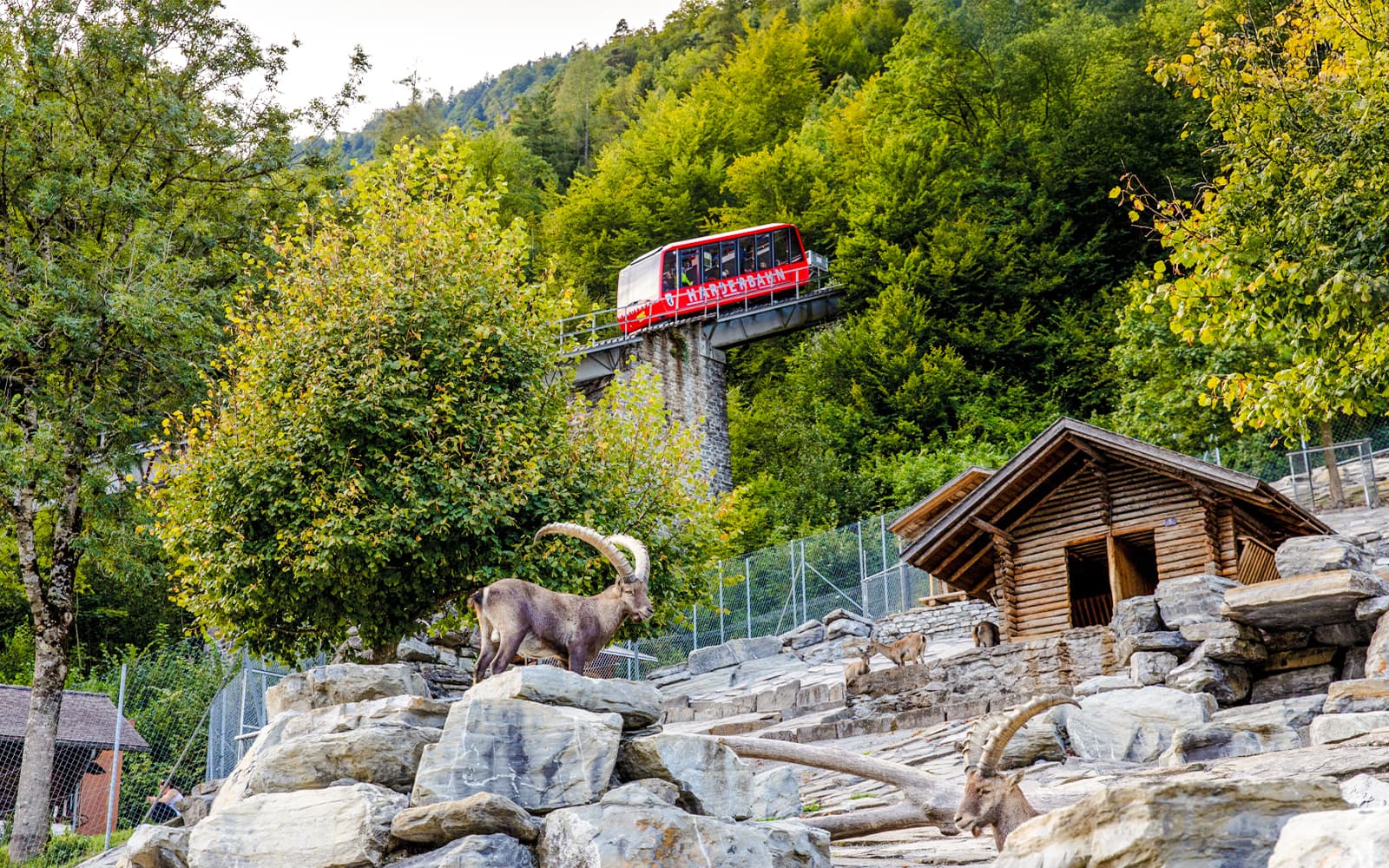 Harder Kulm Round-Trip Funicular & Lake Thun–Brienz Boat Tickets in Interlaken - Attractions | TickYourList