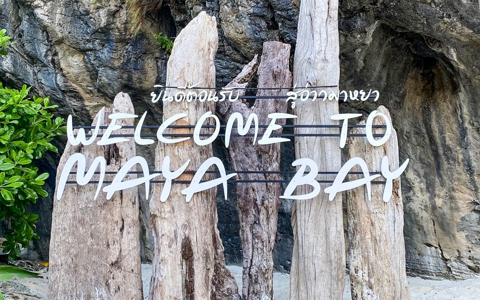 From Phi Phi: Maya Bay Join-In Tour with Snorkeling by Longtail Boat tickets in Krabi - Attractions | TickYourList