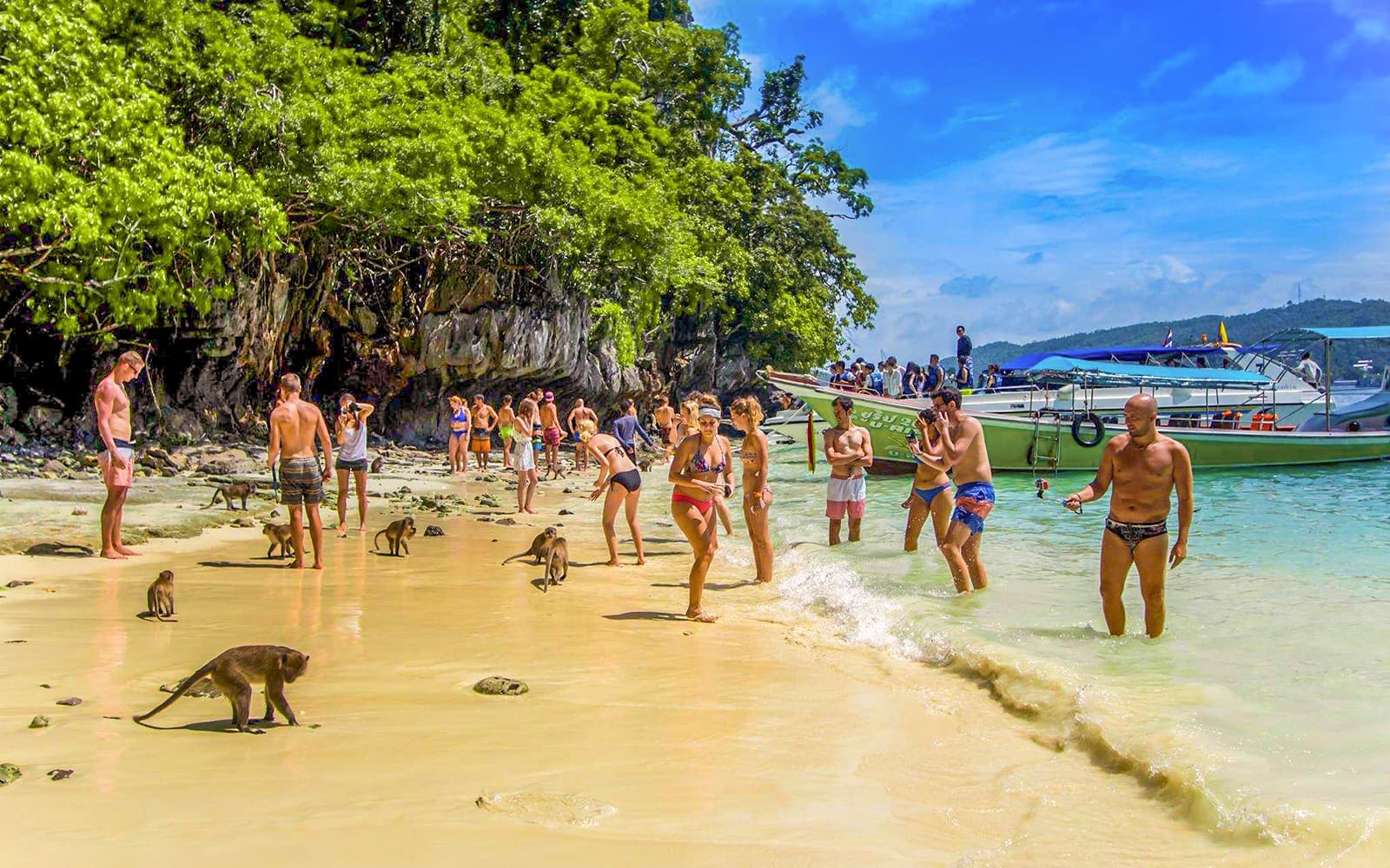 From Phi Phi: Maya Bay Join-In Tour with Snorkeling by Longtail Boat tickets in Krabi - Activities | TickYourList