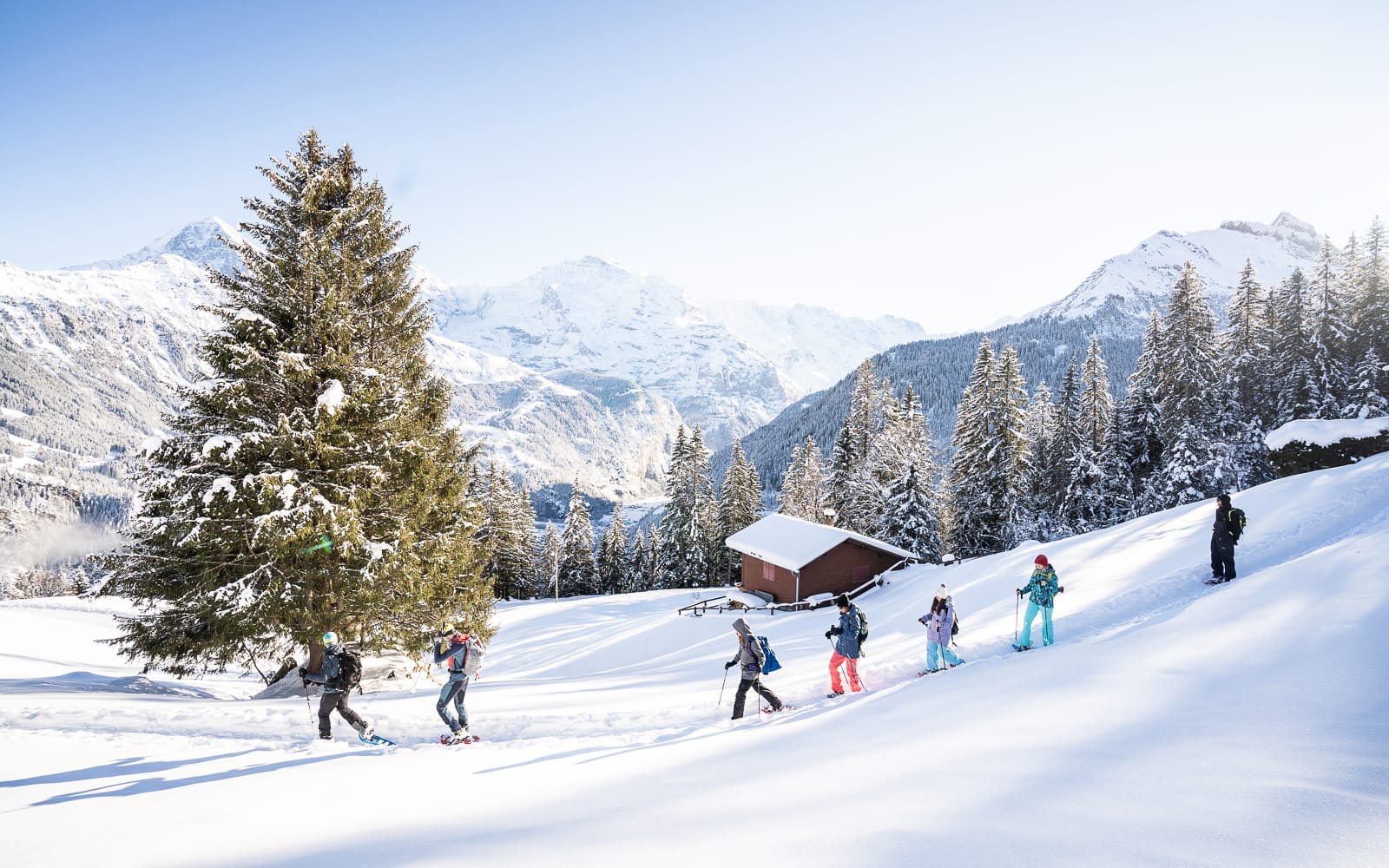From Interlaken: Guided Snowshoe tour Isenfluh tickets in Interlaken - Activities | TickYourList