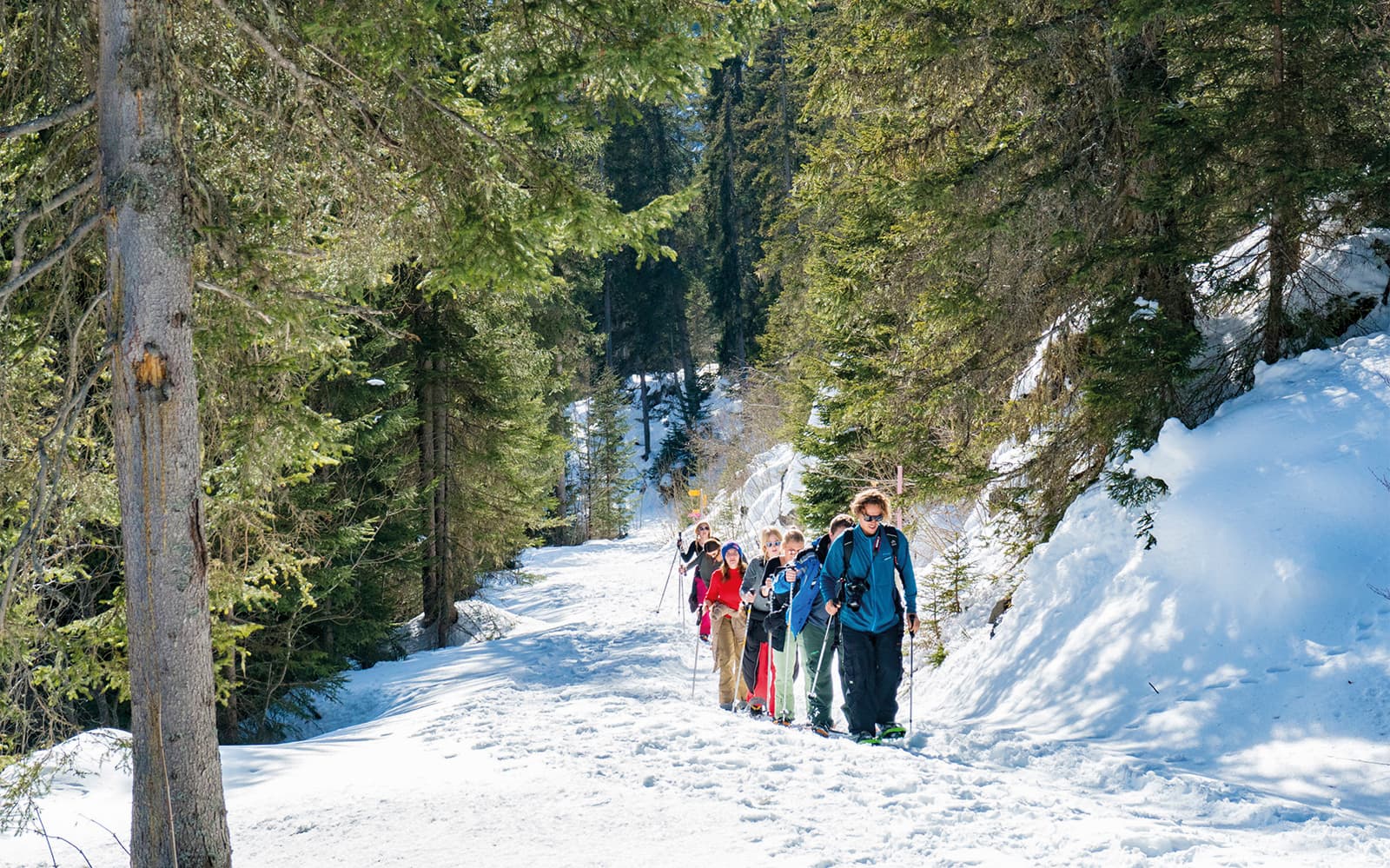 Guided Snowshoe Tour to Lombachalp Ranger (with Full Equipment)