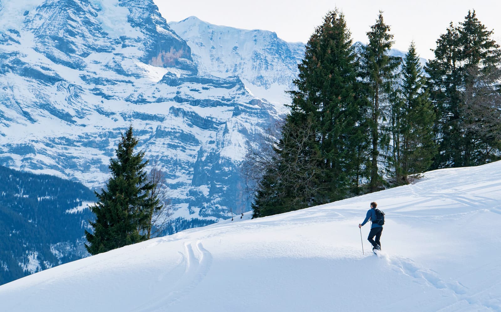 Guided Snowshoe Tour to Lobhornhütte (with full equipment)