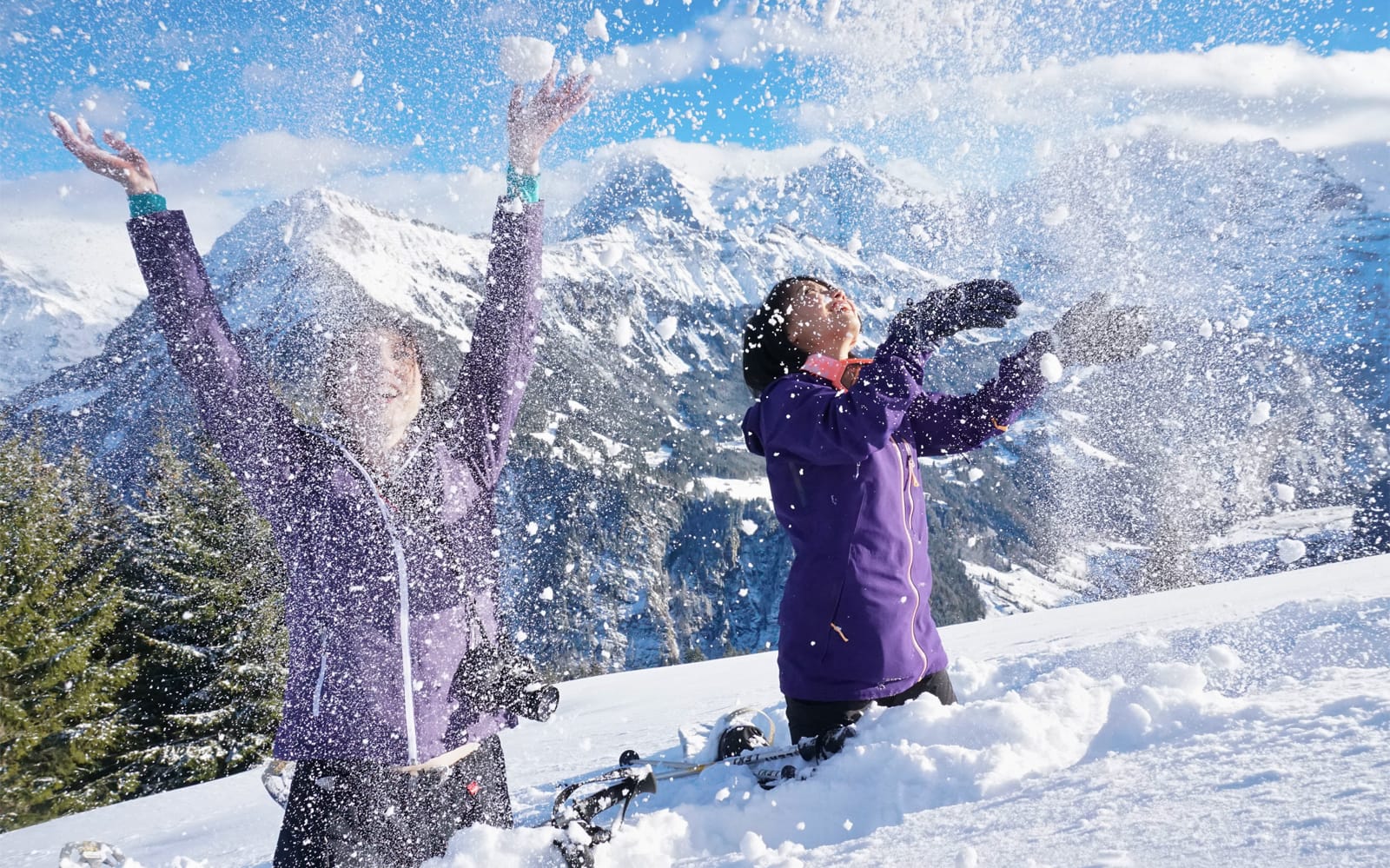 Guided Snowshoe Tour to Lobhornhütte (with full equipment) tickets in Interlaken - Explore More | TickYourList