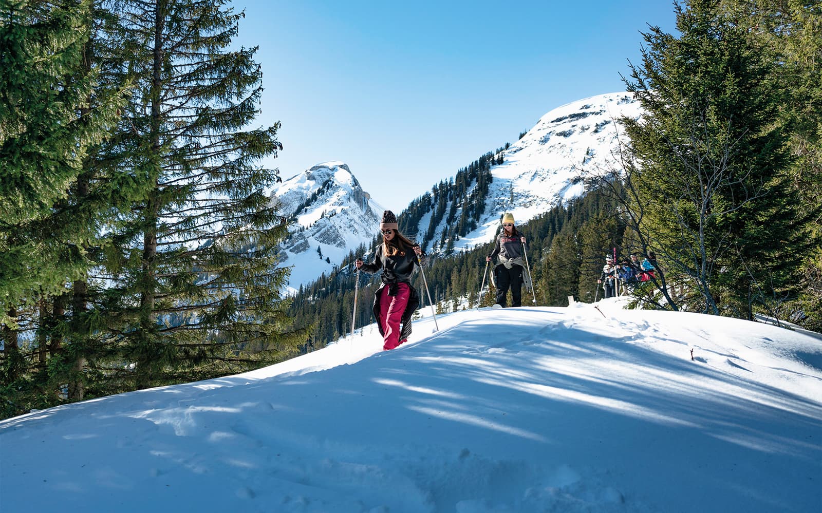 Guided Snowshoe Tour to Wetterhorn Grindelwald (with full equipment)
