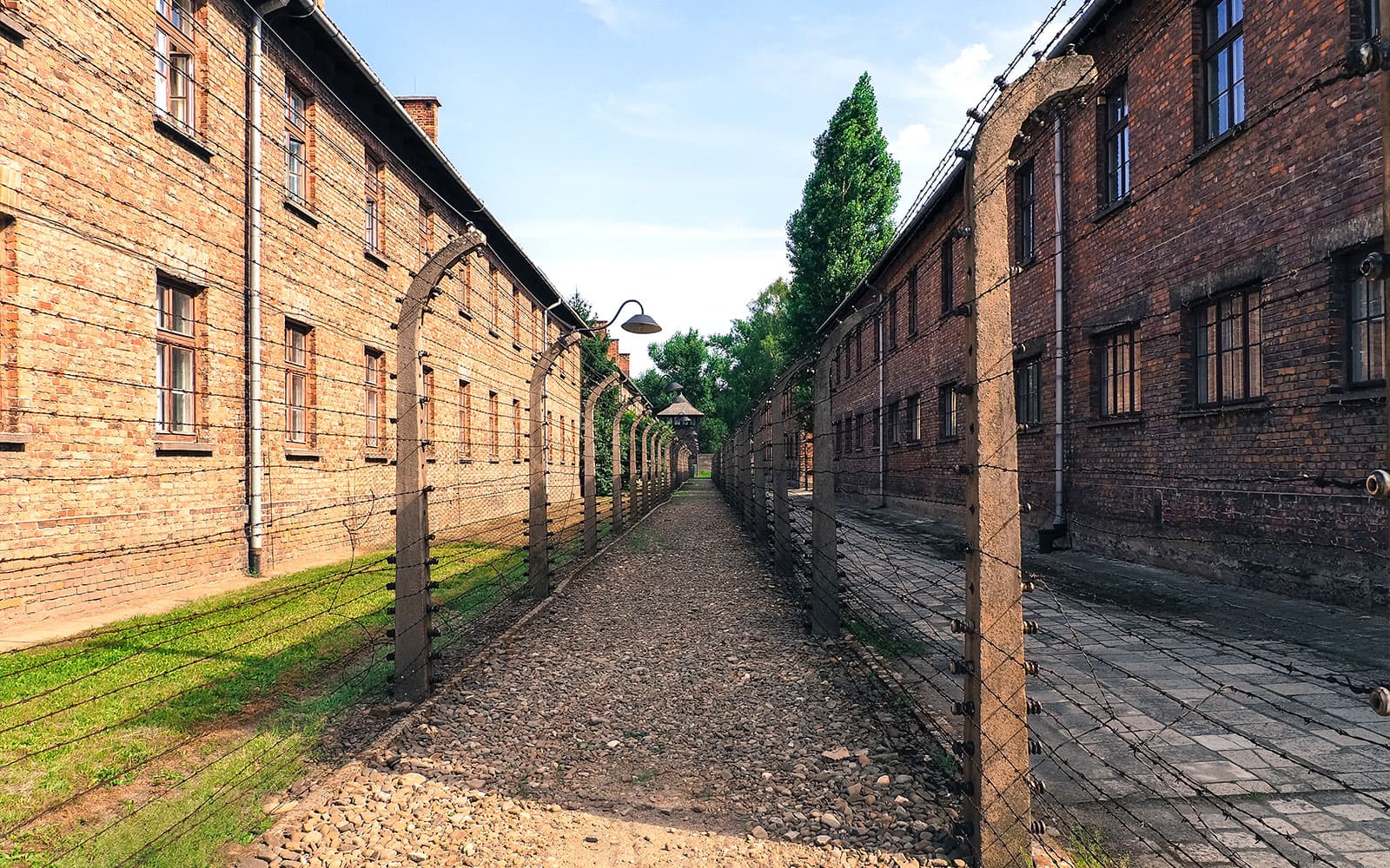 Auschwitz-Birkenau Guided Tour with Fast-Track Tickets & Transfer Options in Krakow - Features | TickYourList