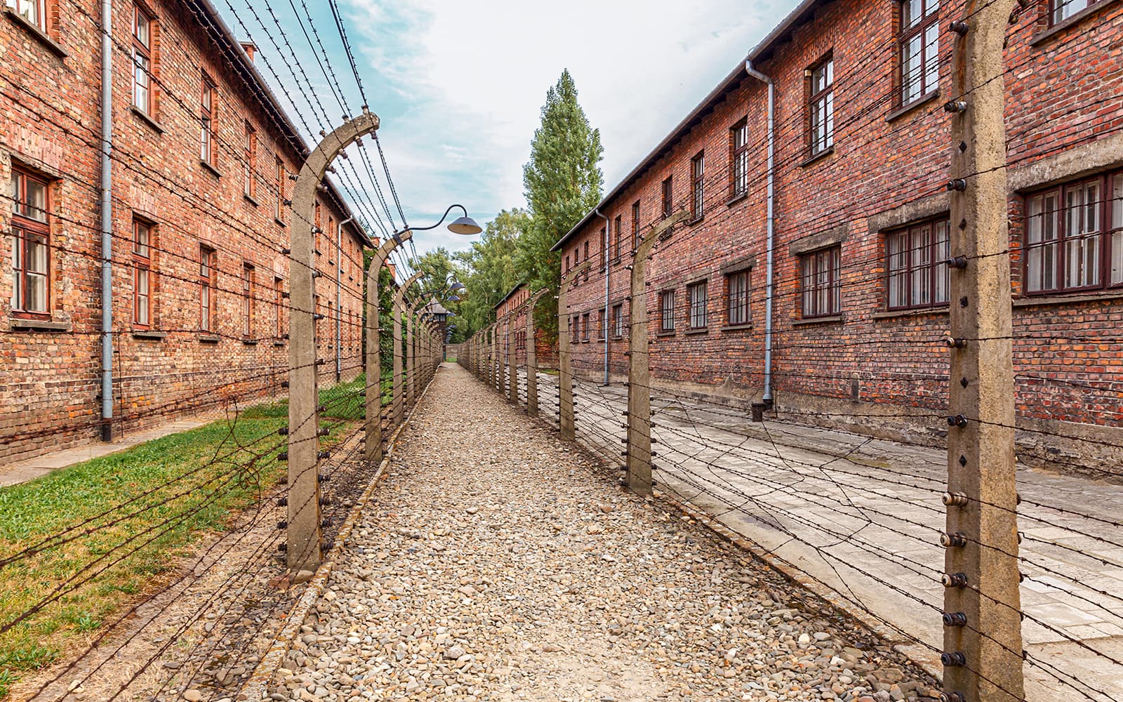 From Krakow: Auschwitz-Birkenau Guided Tour with Hotel Transfers