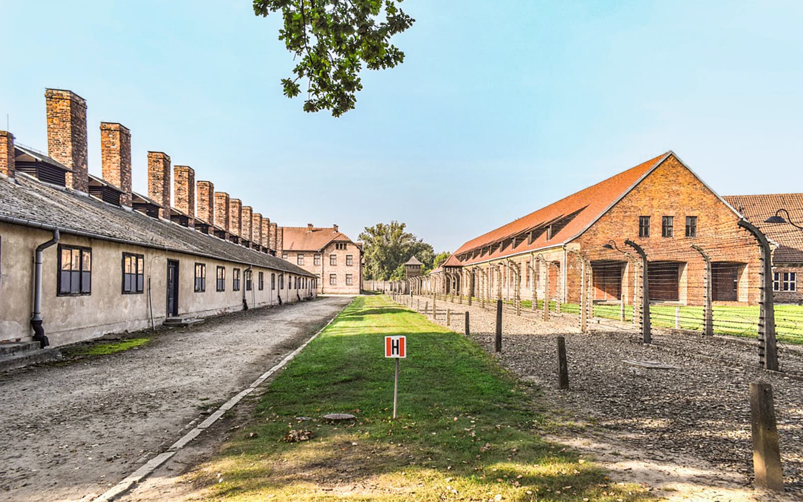 From Krakow: Auschwitz-Birkenau & Wieliczka Salt Mine Guided Tour tickets in Krakow - Activities | TickYourList