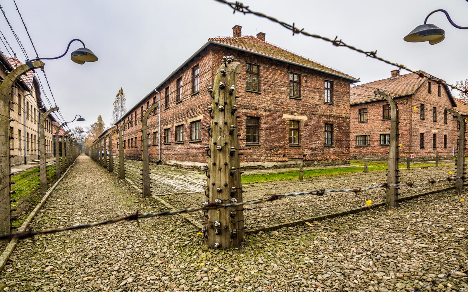 Full-Day Tour of Auschwitz-Birkenau and Wieliczka Salt Mine with Transfers from Krakow & Lunch tickets in Krakow - Attractions | TickYourList