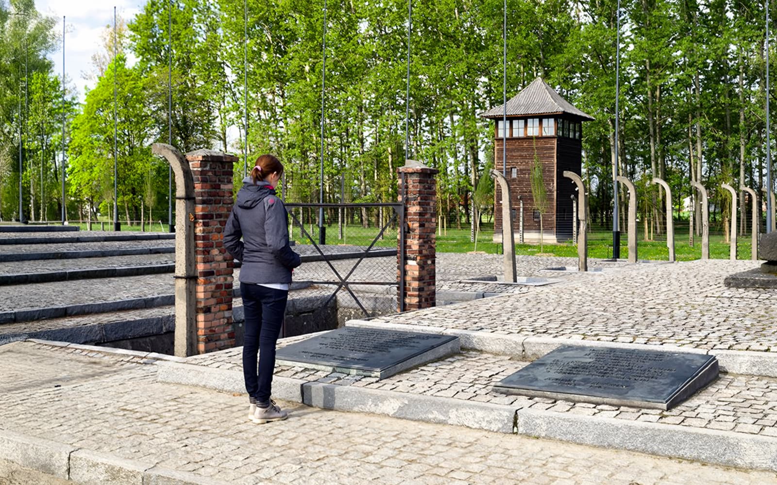 From Katowice: Auschwitz-Birkenau Guided Tour with Transfers tickets in Krakow - Activities | TickYourList