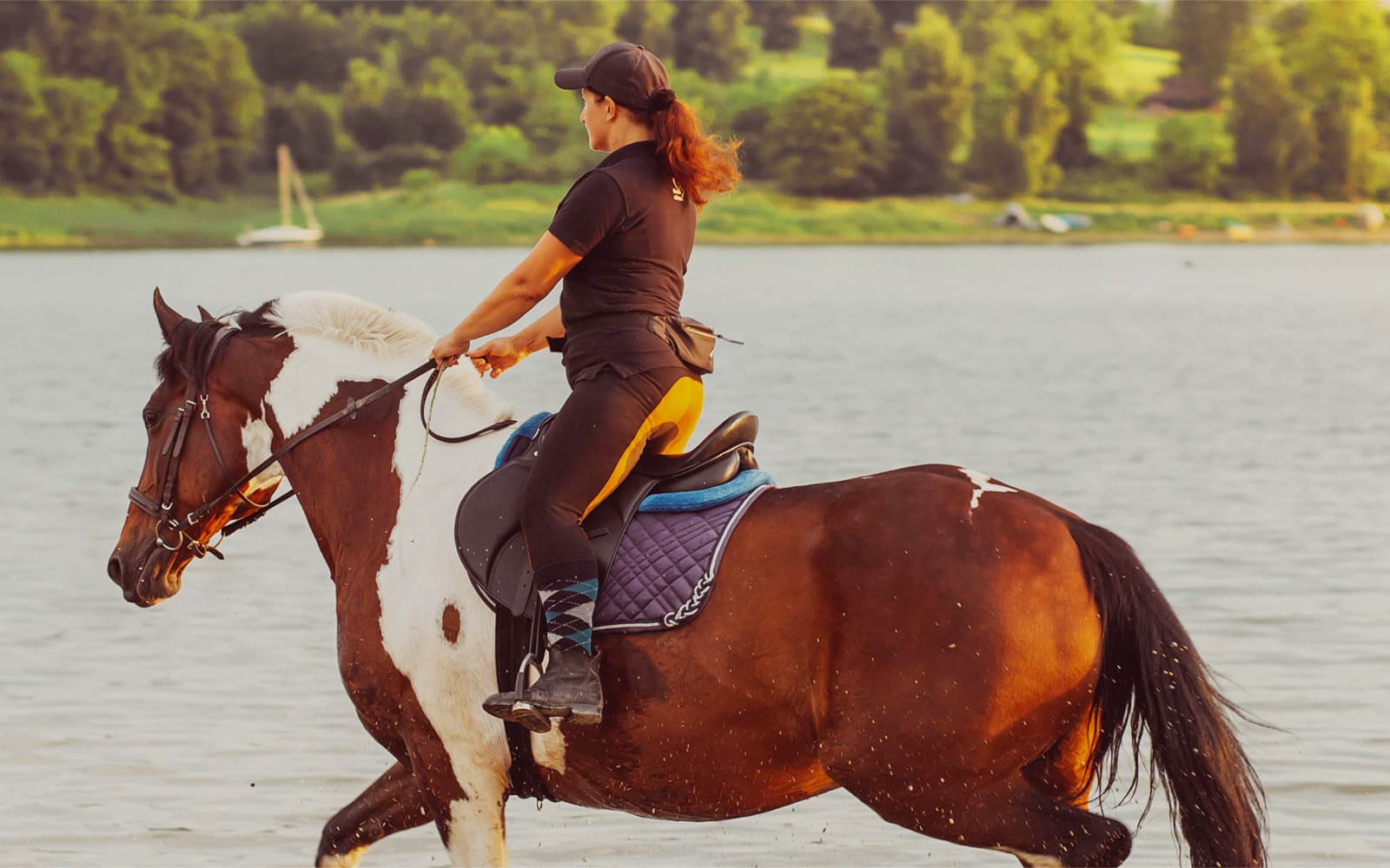 Tickets to Half-Day Horse Riding Experience with Private Transfers