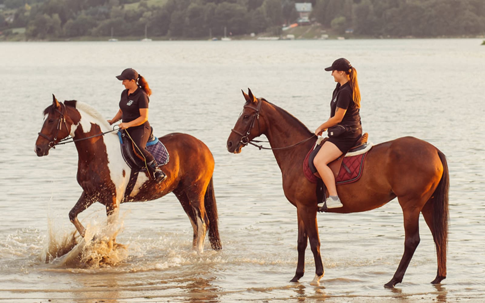 Tickets to Half-Day Horse Riding Experience with Private Transfers in Krakow - Activities | TickYourList