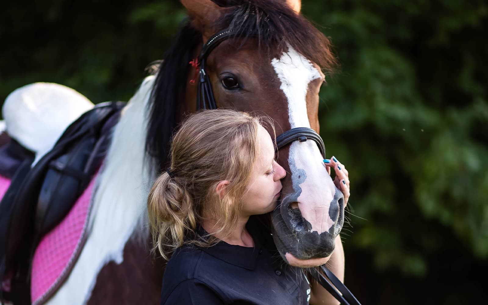 Tickets to Half-Day Horse Riding Experience with Private Transfers in Krakow - Highlights | TickYourList