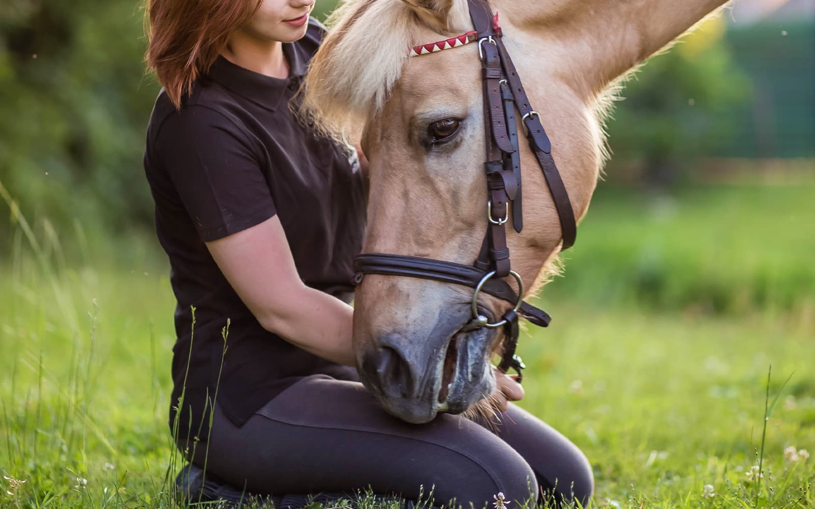 Tickets to Half-Day Horse Riding Experience with Private Transfers in Krakow - Full Experience | TickYourList