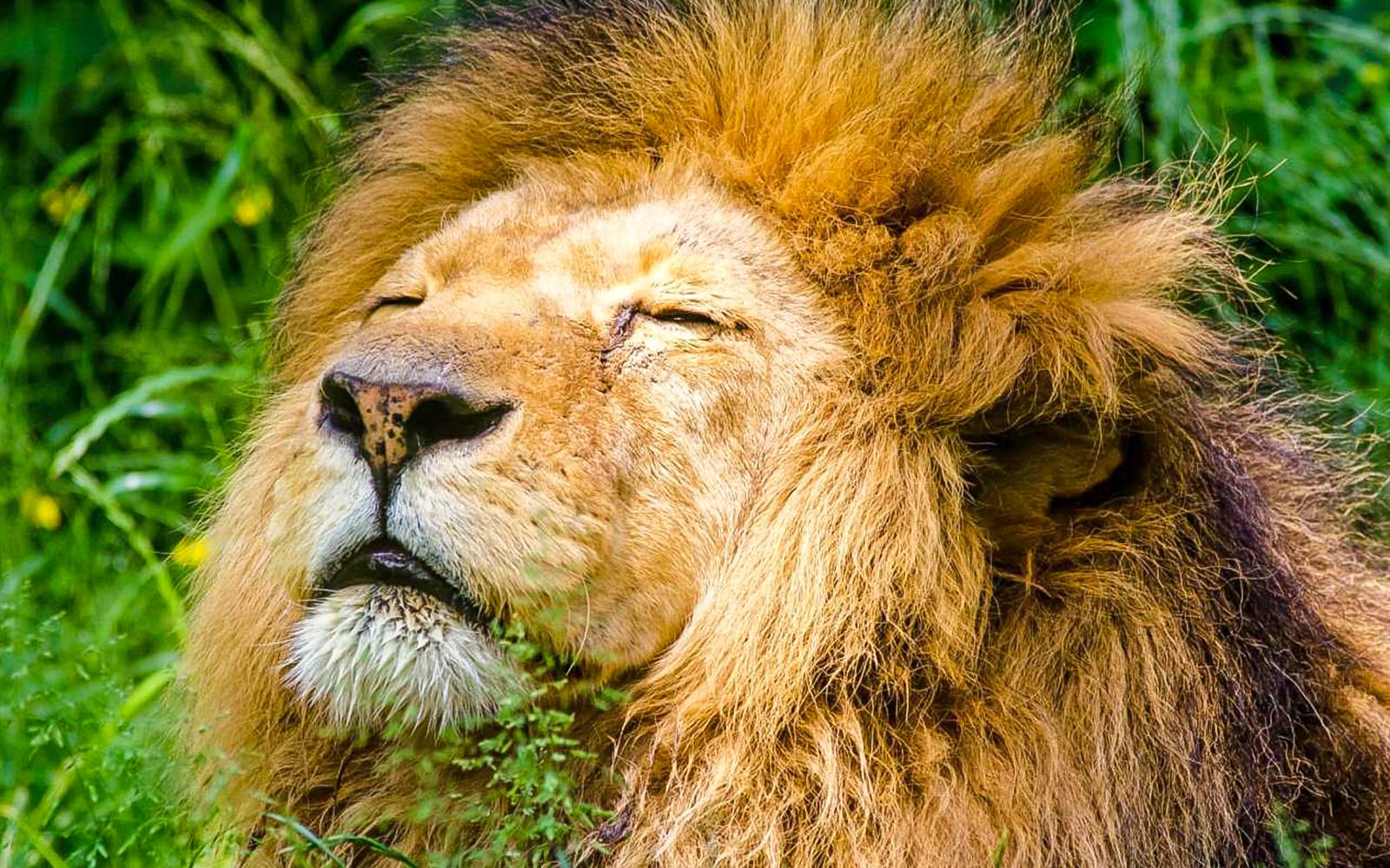Krakow Zoo Entrance Tickets with Hotel Transfers experience in Krakow | TickYourList