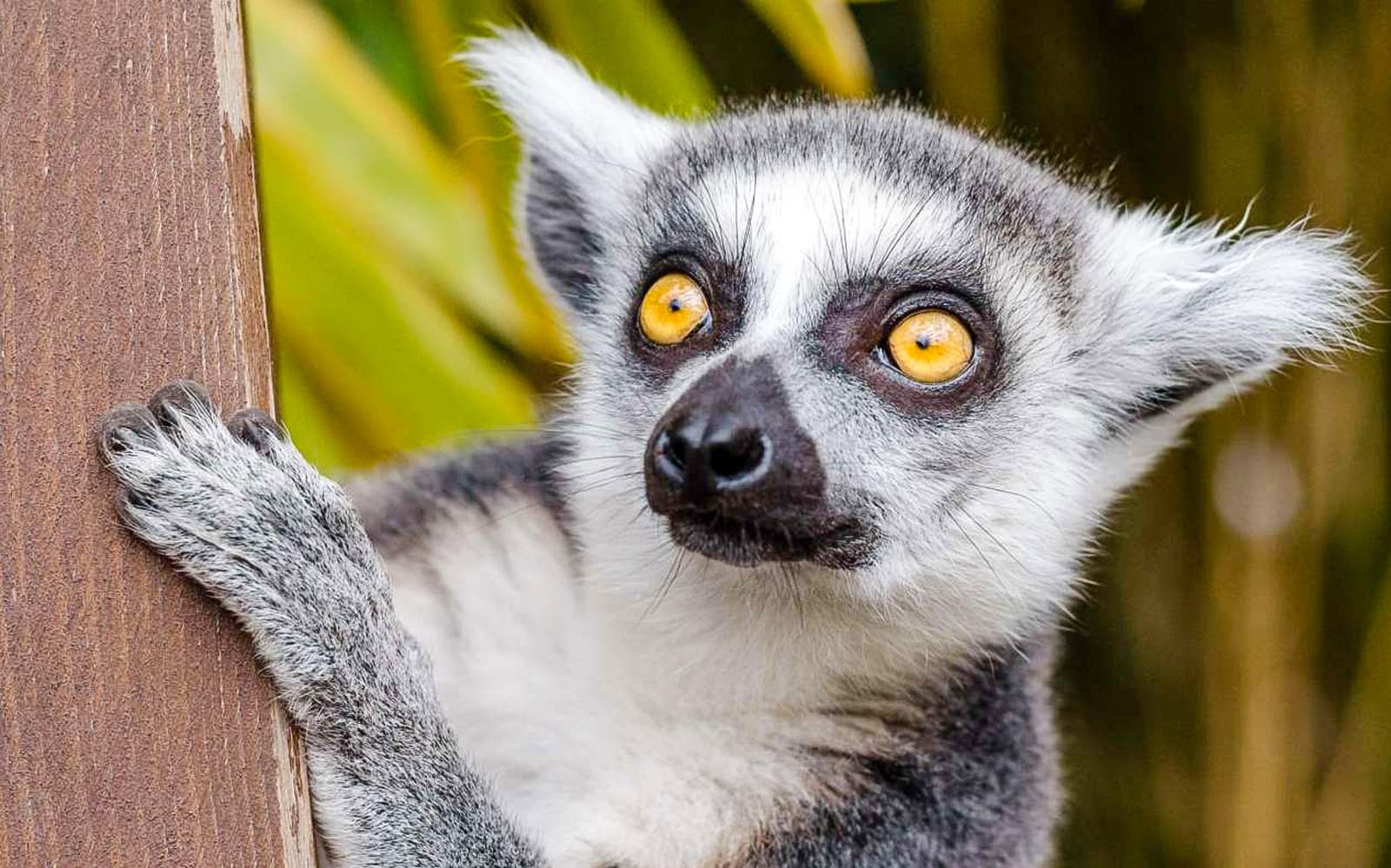 Krakow Zoo Entrance Tickets with Hotel Transfers in Krakow - Activities | TickYourList