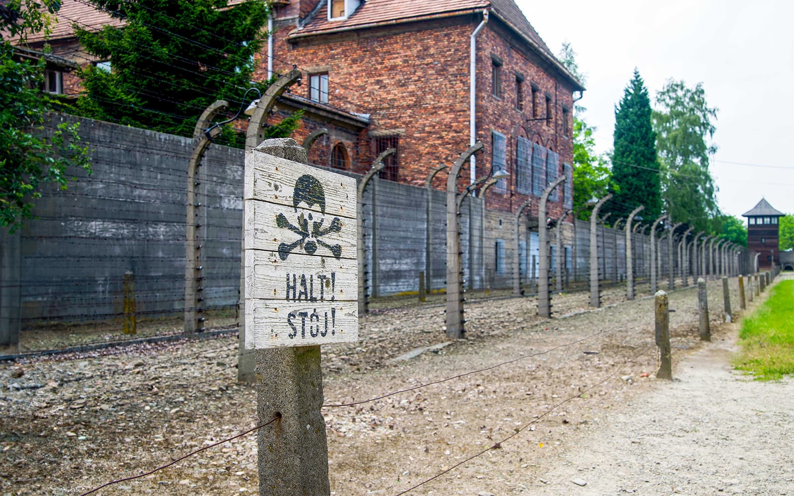 Round-Trip Tickets: Auschwitz-Birkenau Museum to/from Krakow Bus Station