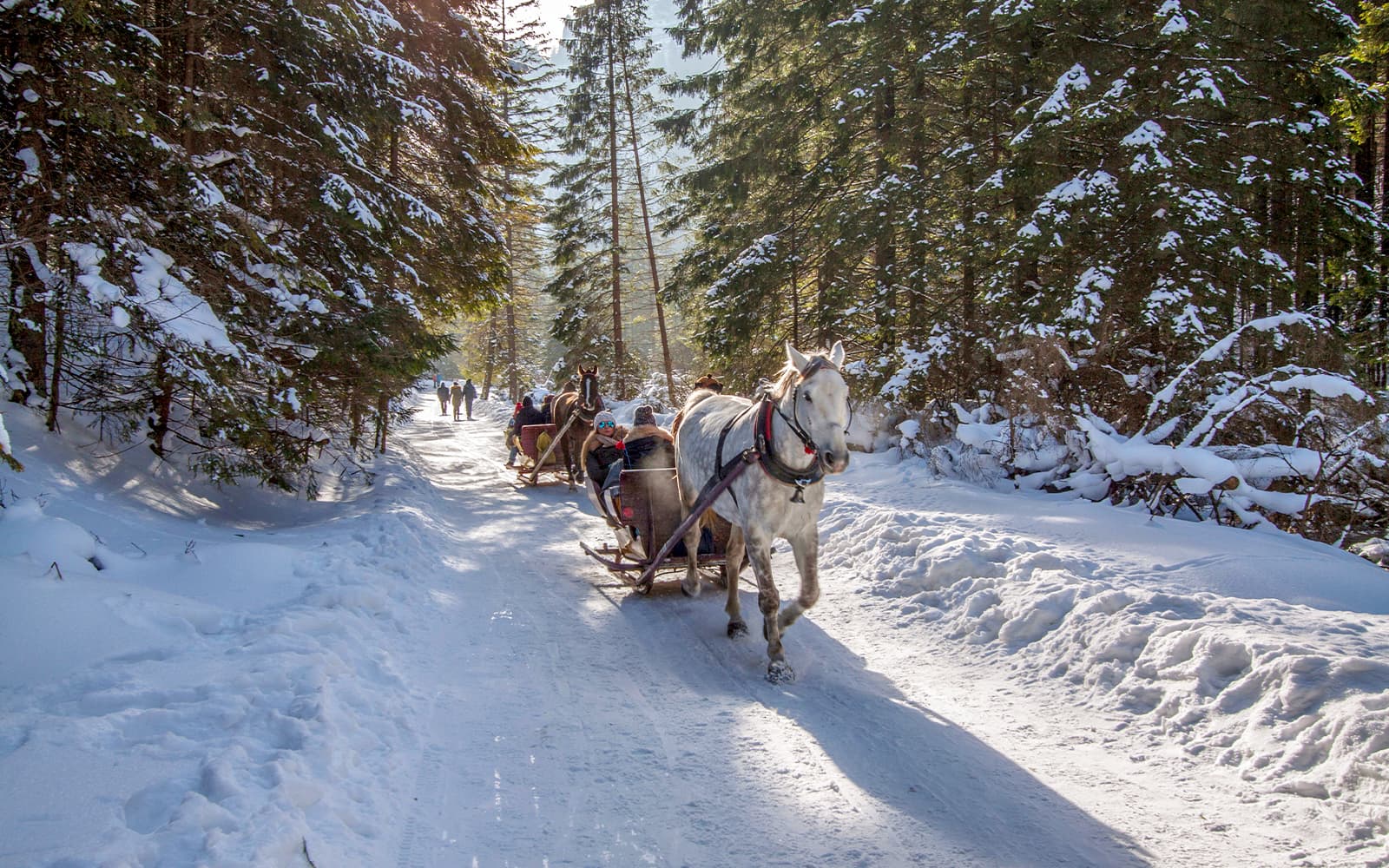 Zakopane: Sleigh Ride with Bonfire Meal