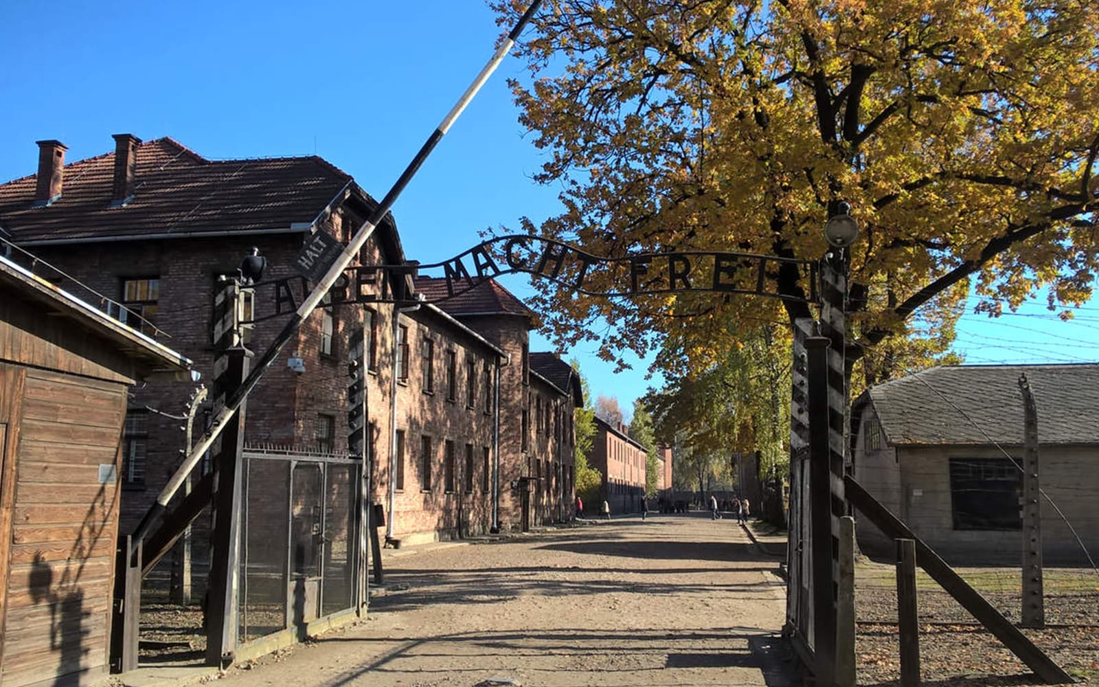 Day Tour of Auschwitz & Birkenau from Krakow