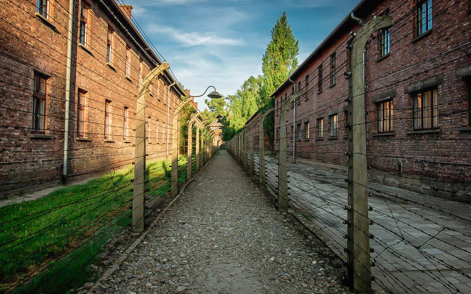 Day Tour of Auschwitz & Birkenau from Krakow tickets in Krakow - Highlights | TickYourList