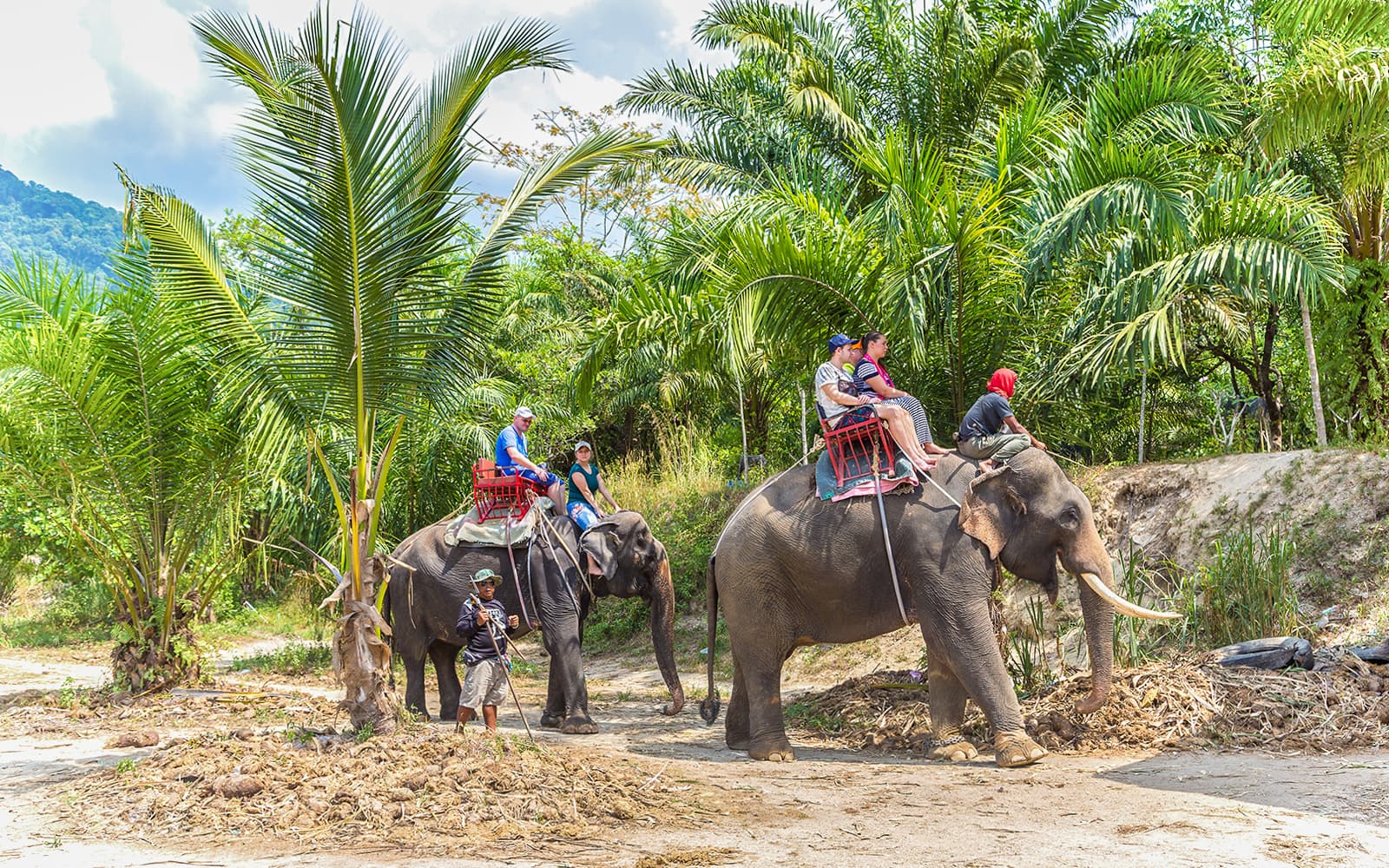 From Phuket: Bamboo Rafting, ATV Ride with Elephant Trekking & Bathing Experience tickets in Phuket - Highlights | TickYourList
