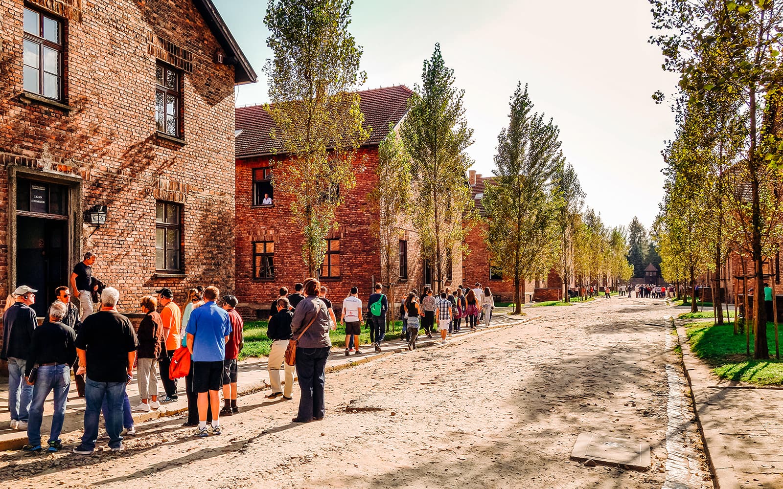 Guided Tour of Auschwitz-Birkenau with Evening Walking Tour of Krakow Old Town tickets in Krakow - Highlights | TickYourList