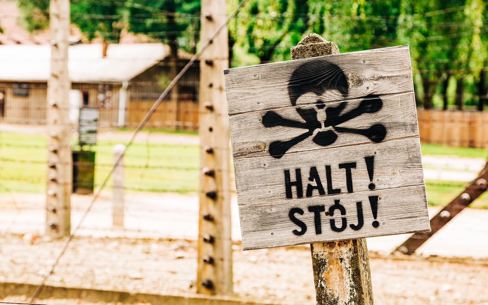 Guided Tour of Auschwitz-Birkenau with Evening Walking Tour of Krakow Old Town tickets in Krakow - Features | TickYourList