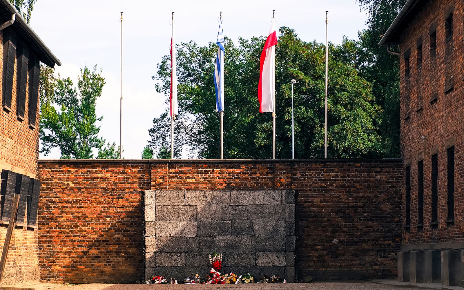 Guided Tour of Auschwitz-Birkenau from Warsaw with Lunch tickets in Krakow - Highlights | TickYourList