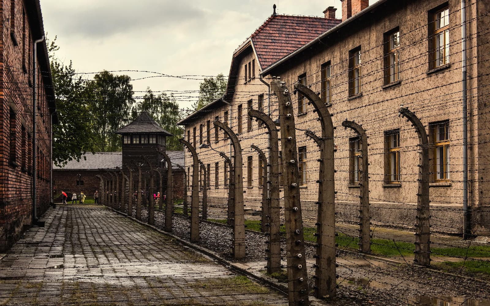 Auschwitz-Birkenau and Krakow Tour Starting From Warsaw by Train