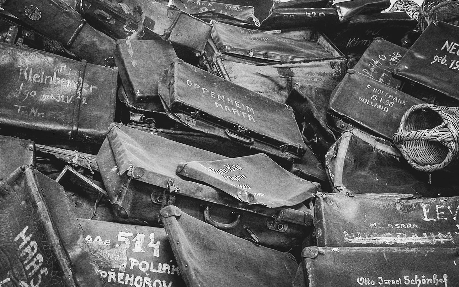 Auschwitz-Birkenau and Krakow Tour Starting From Warsaw by Train tickets in Warsaw - Attractions | TickYourList