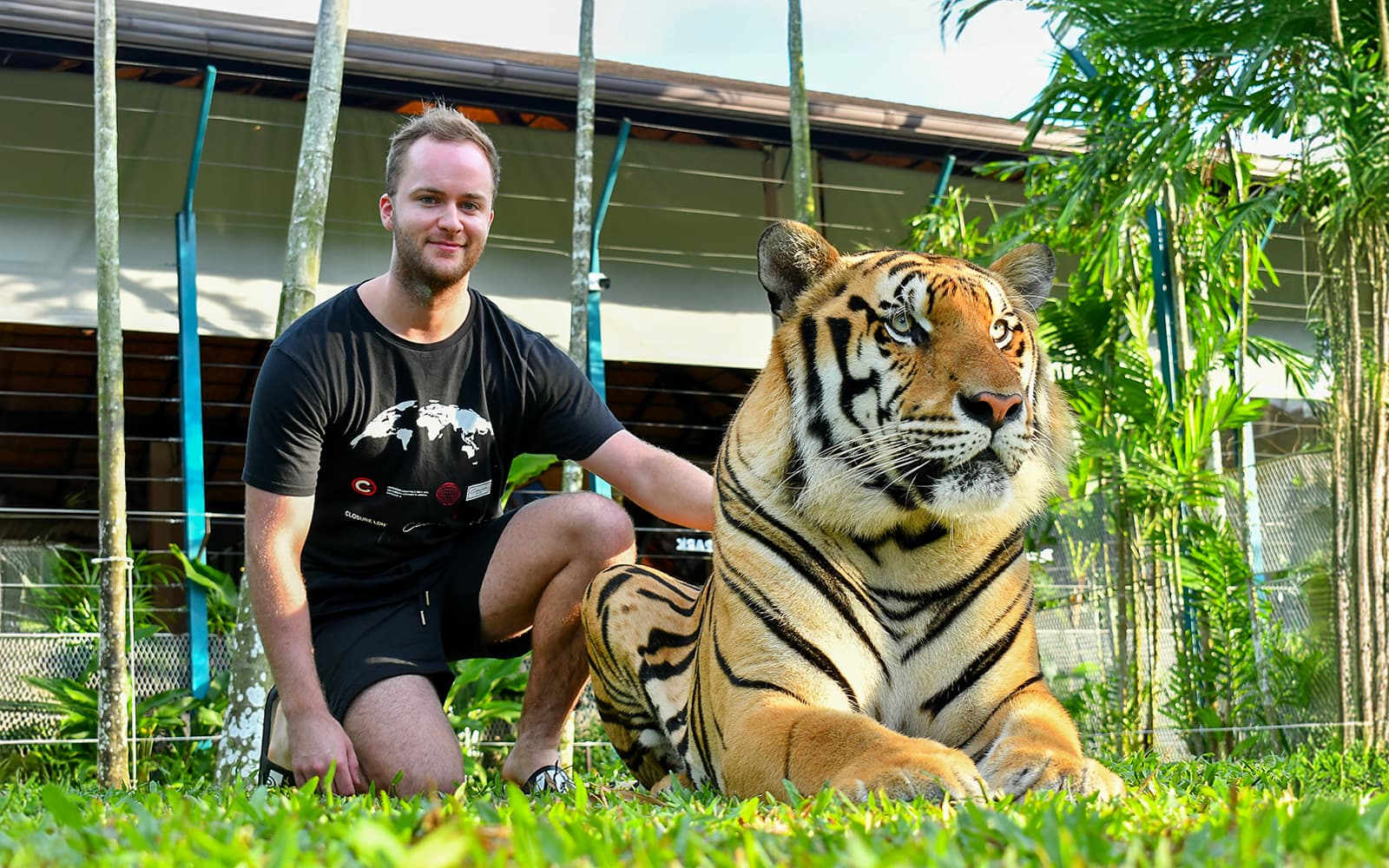 Tiger Park Tickets with Tiger Interactions in Phuket - Attractions | TickYourList