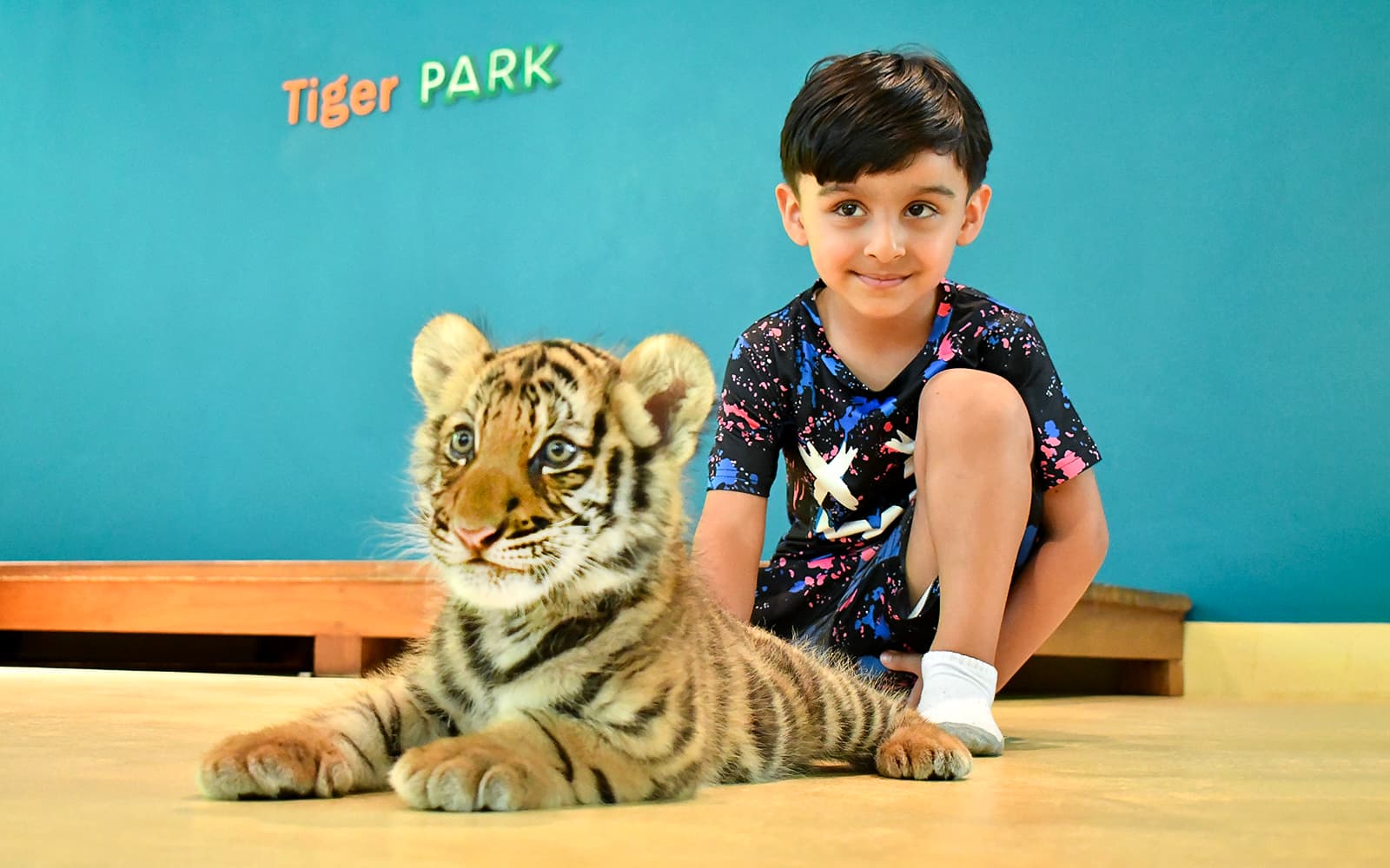 Tiger Park Tickets with Tiger Interactions in Phuket - Activities | TickYourList